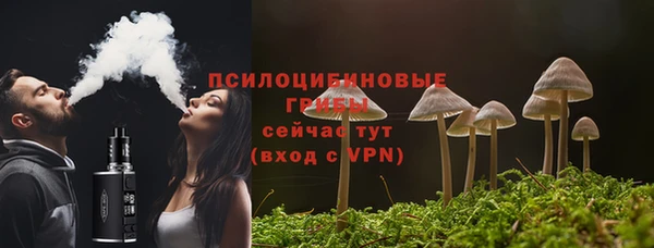 крисы Арсеньев