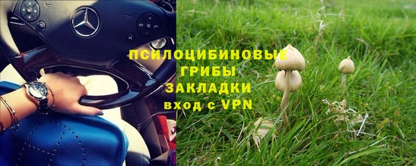 крисы Арсеньев