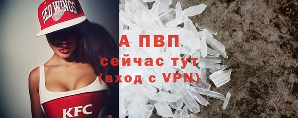 крисы Арсеньев