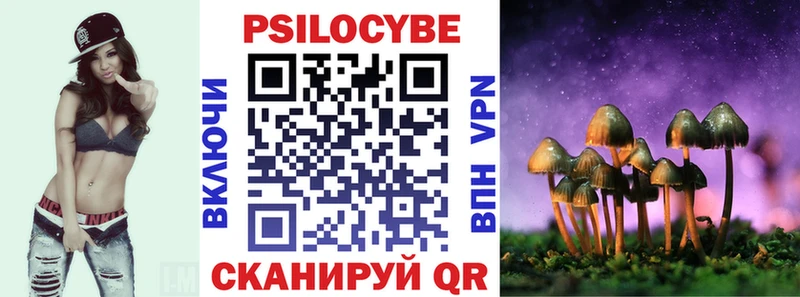 Галлюциногенные грибы Psilocybe  где продают наркотики  Нефтекамск 